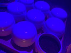 熊猫酒仙-贰麻酒馆(金山斗酒场店)