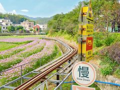 -红山村