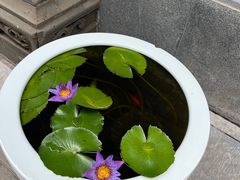 -西安市广仁寺