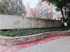 -黄桷坪涂鸦艺术街