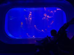 -海合安武汉极地海洋公园