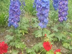 -北京植物园南门售票处