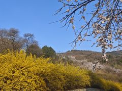 -北京西山国家森林公园