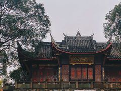 -桂湖森林公园