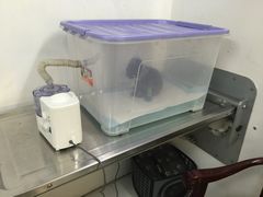-思宇宠物医院