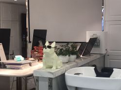 -潘多拉Hairsalon