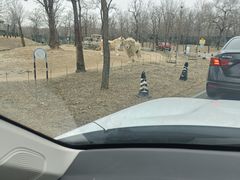 -秦皇岛野生动物园