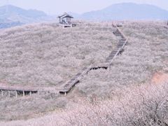 -原乡小镇度假乐园