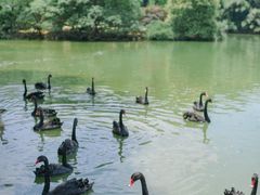 -杭州野生动物世界