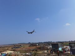 -空港花田景区