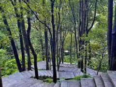 -火炉山森林公园