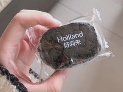 -蒲公英(五里店)