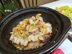 -阿毛饭店首店·宁波老字号(文化广场店)