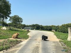 -西安秦岭野生动物园