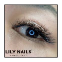 -LILY NAILS美甲美睫