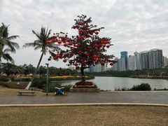 -万绿园