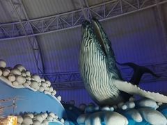 -烟台海昌鲸鲨海洋公园