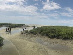 -北海金海湾红树林生态旅游区