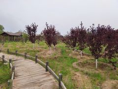 -玉龙沙湖景区