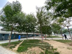 -首都医科大学附属北京天坛医院
