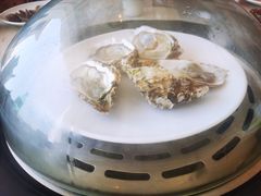 -港畔赶海蒸汽海鲜烧烤自助(仙螺岛店)