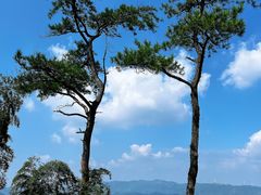 -莫干山风景区