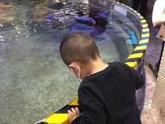 -鸿通城购物中心