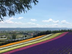-富田农场