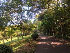 -紫马岭公园