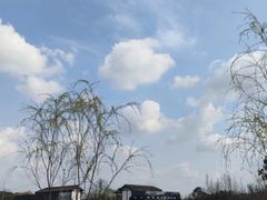 -白鹭湾湿地公园