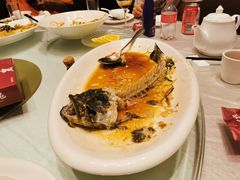清蒸青斑鱼-大丰苑(海韵店)