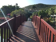 -三亚亚龙湾凯莱仙人掌度假酒店