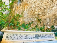 -巴马洞天福地景区