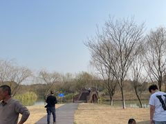 -南湖湿地公园