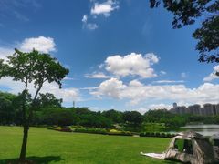 -东莞植物园