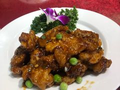 -万柳阁小馆·花园餐厅(龙潭湖店)