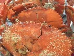 -蚝乡农庄(铁涌赤岸店)