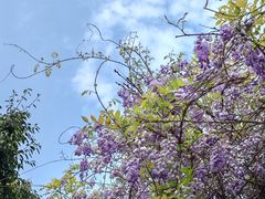 -西南交通大学(九里校区)