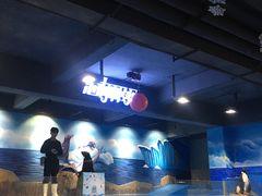 -顺德南宏海立方海洋公园