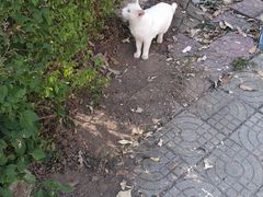 -广东外语外贸大学(白云山校区)