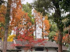 -墨池公园