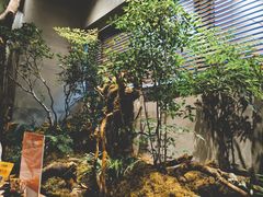 -森SPA·泰式按摩·精油Massage(宝安中心店)