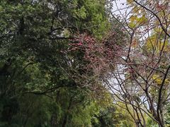 -雀儿山公园