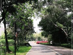 -顺峰山公园
