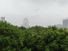 -飞来湖湿地公园