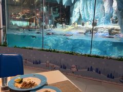 -帝企鹅自助餐厅•儿童岛•真企鹅(长隆企鹅酒店)