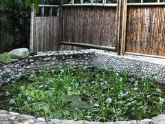 -佛山市三水温泉度假村