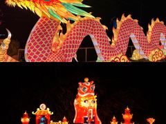 -长鹿旅游休博园