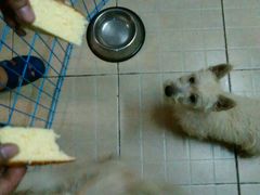 -皇冠 · 玛莉奥(丽江店)