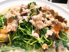 炒豆苗-长平老姿娘夜粥(平东一街店)